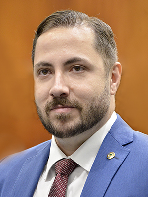 Foto do deputado